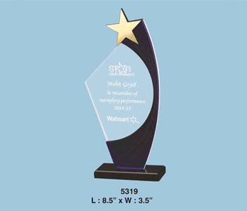 customized-trophies5319 customized-trophies5319