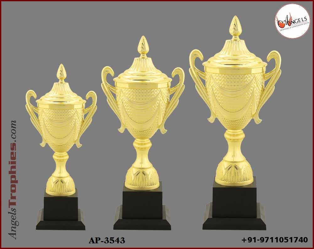 fibre plastic trophy with golden cup with base