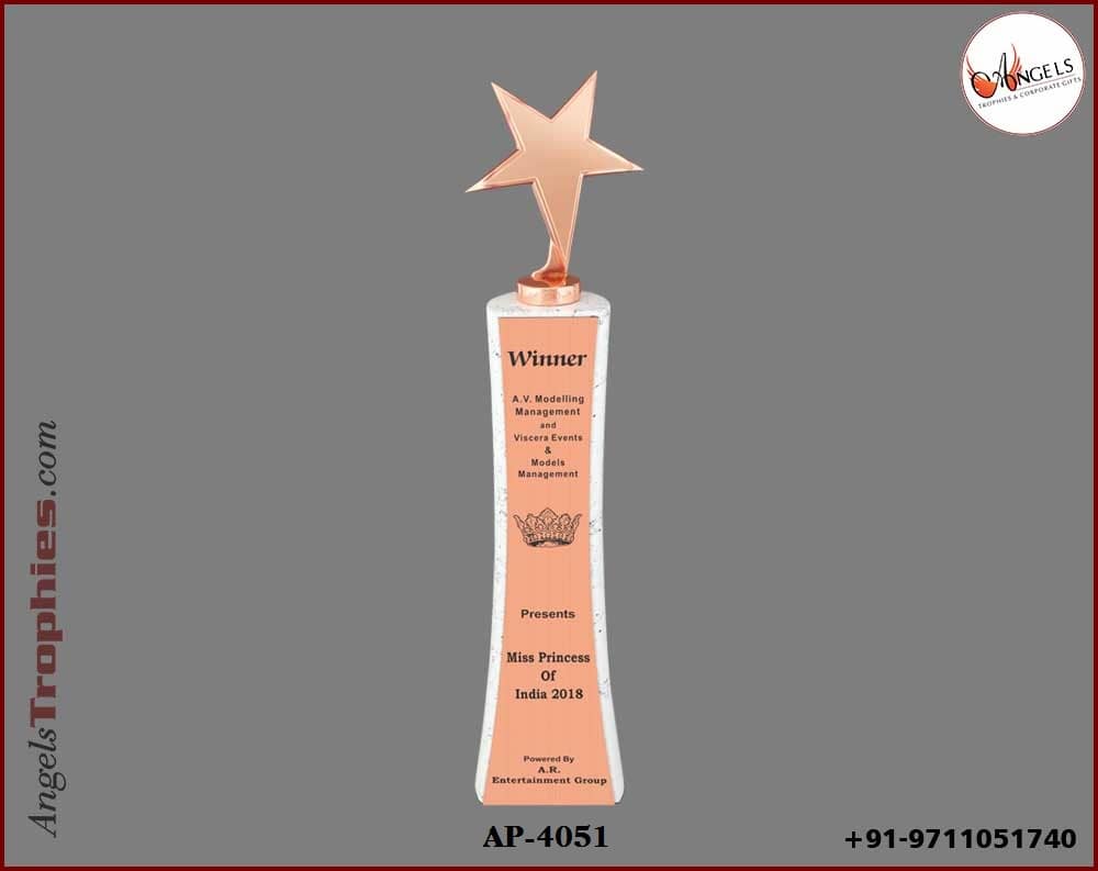 wooden white award trophy with metal bronze star with printing