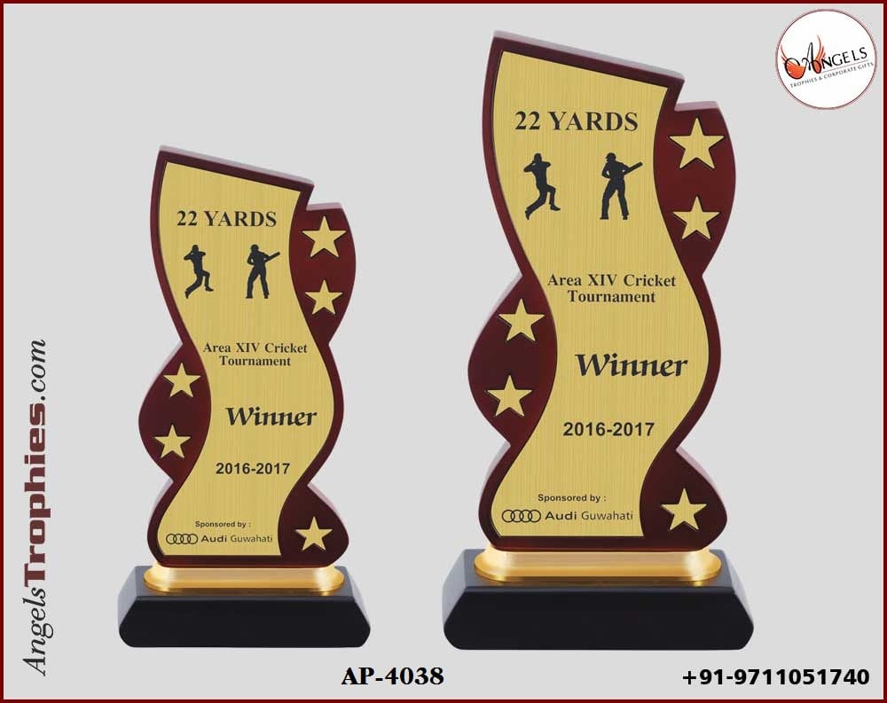 wooden award with metal golden star with wooden base