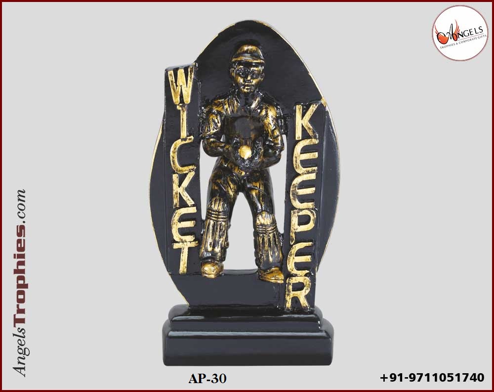 sports trophy wicket trophy with sports