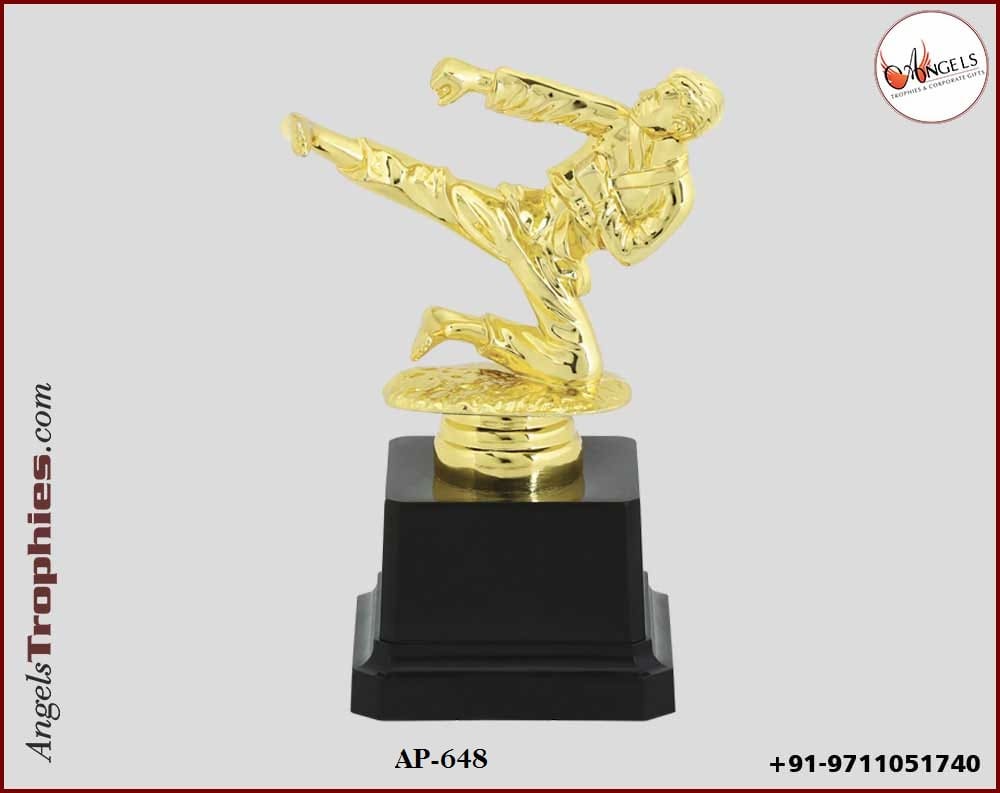 sports award trophy with judo champion base
