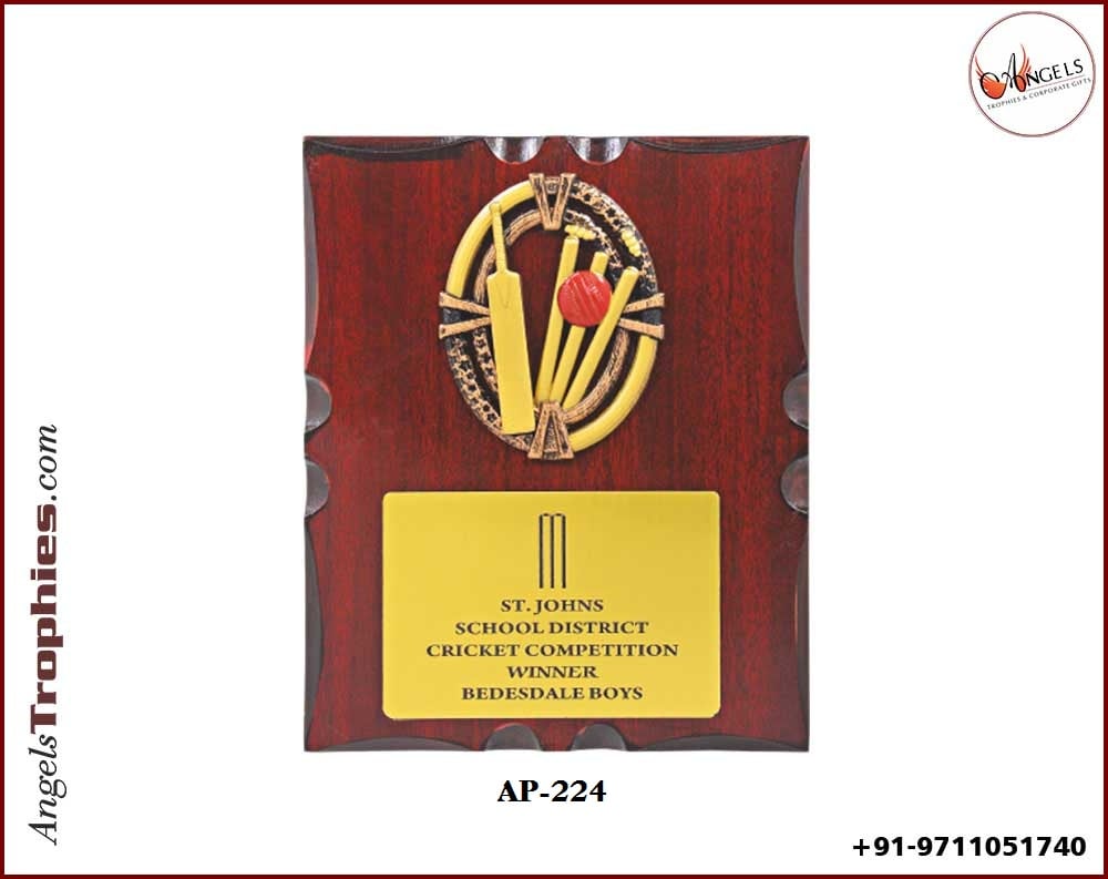 wooden award shield trophy with bat ball accessories