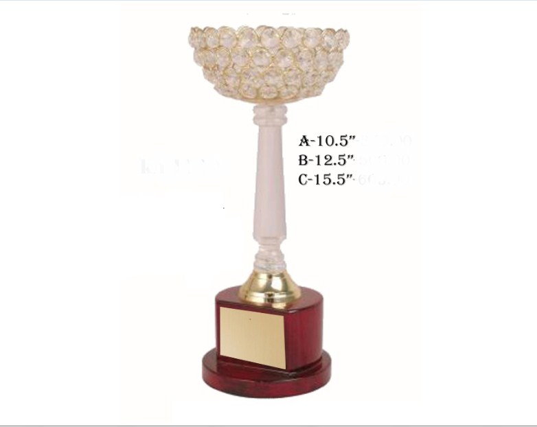metal diamond cup with acrylic pillor with wooden base
