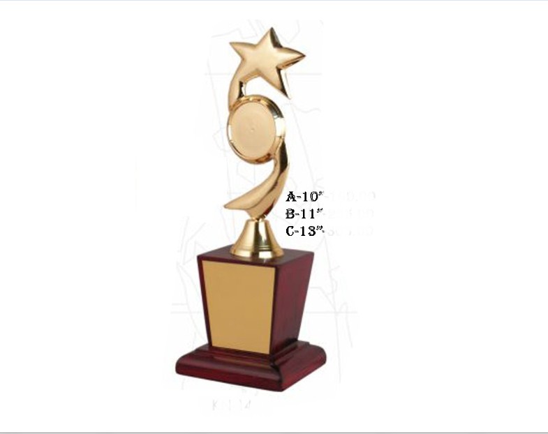 Metal Trophy with star curve with wooden base