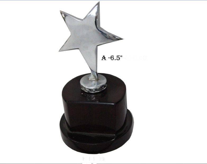 Metal Silver trophy with wooden base