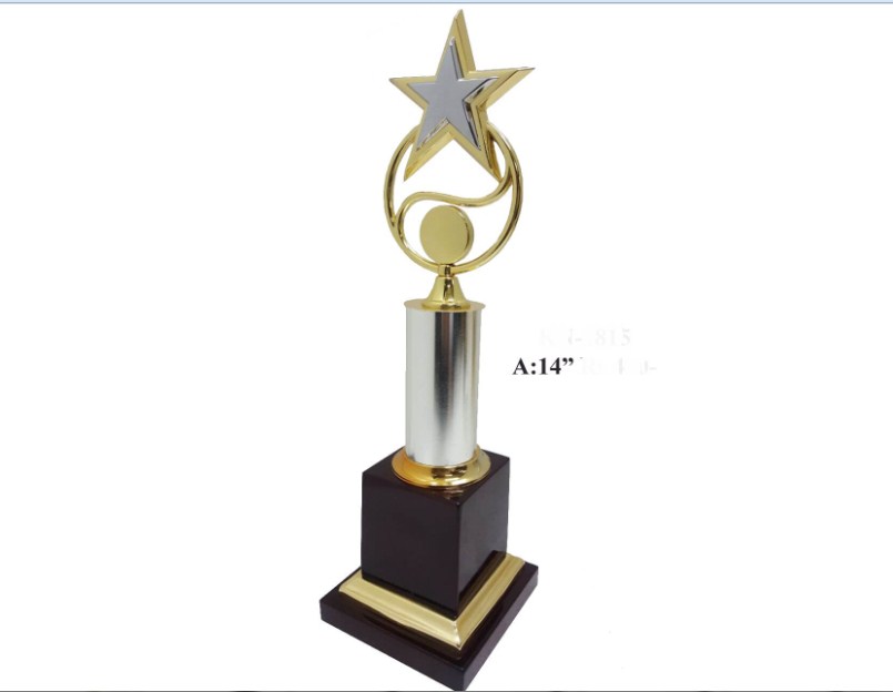 metal trophy with metal body with metal star with wooden base