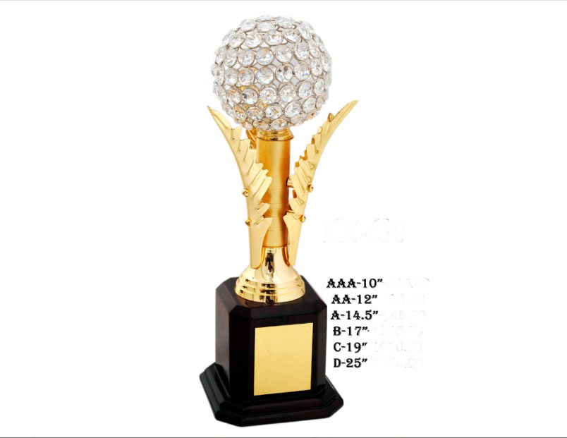 Metal Trophy with metal feather with diamond globe with wooden base