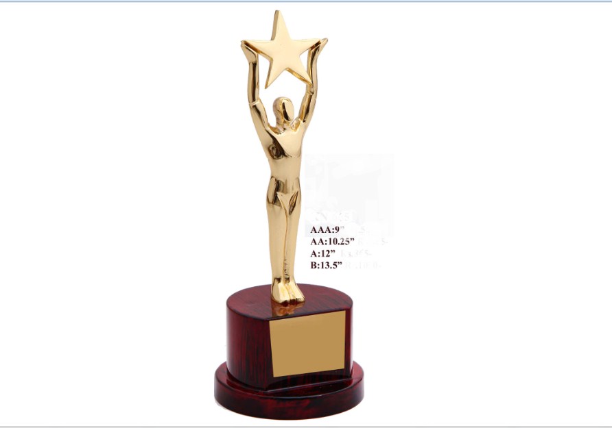 Metal Man Trophy with metal star with wooden base