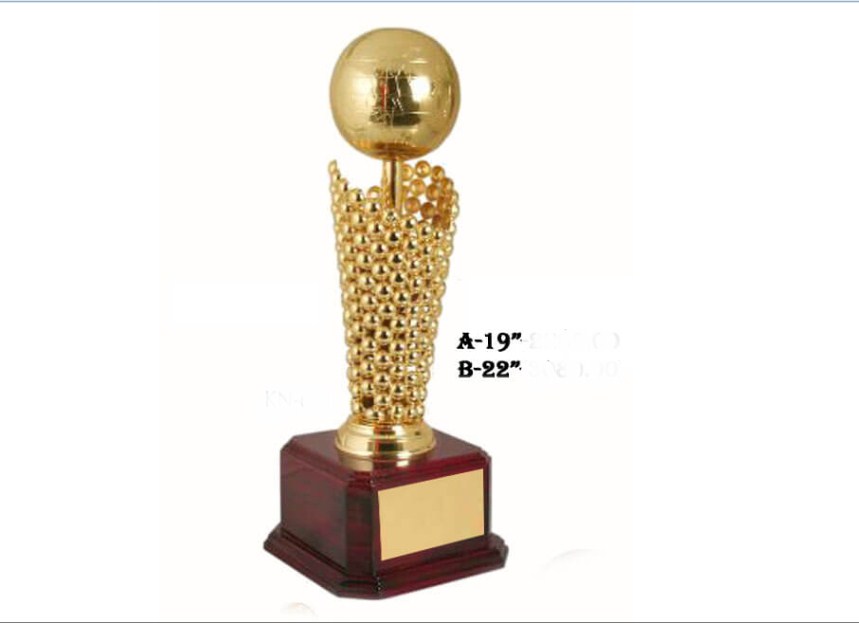 Metal Premium Metal Globe Trophy with wooden base