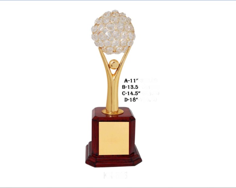 Metal Trophy with man with diamond globe with wooden base
