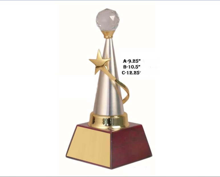 Metal Star shape trophy with wooden base