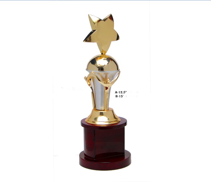 Metal Star with group shape trophy with wooden trophy