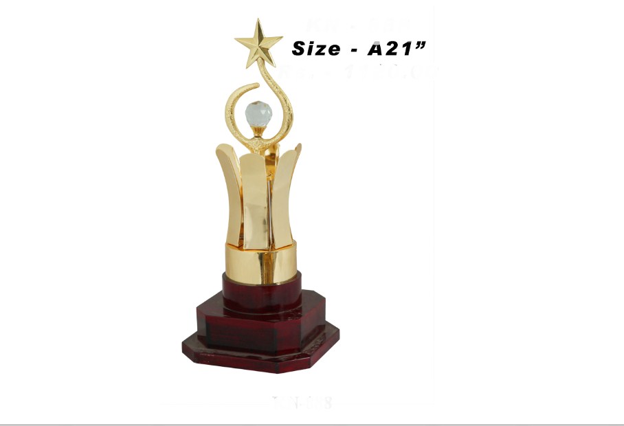 Metal Shape trophy and star with crystal ball with wooden base
