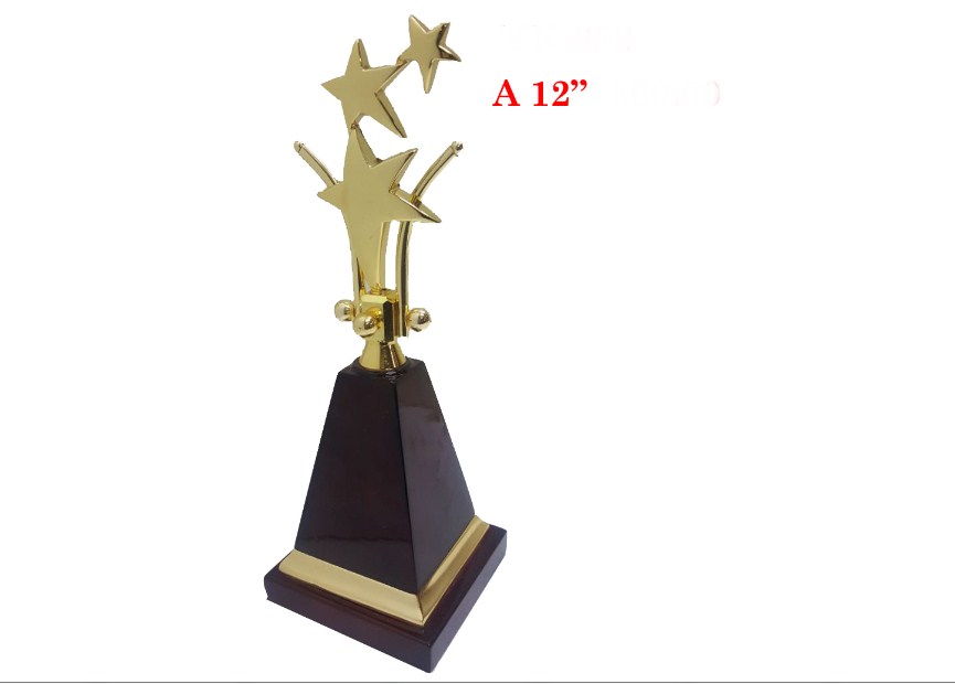 Metal Trophy with Three God Star