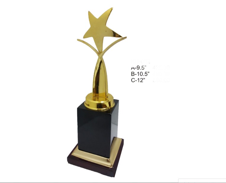 Metal Trophy with golden metal star with wooden base