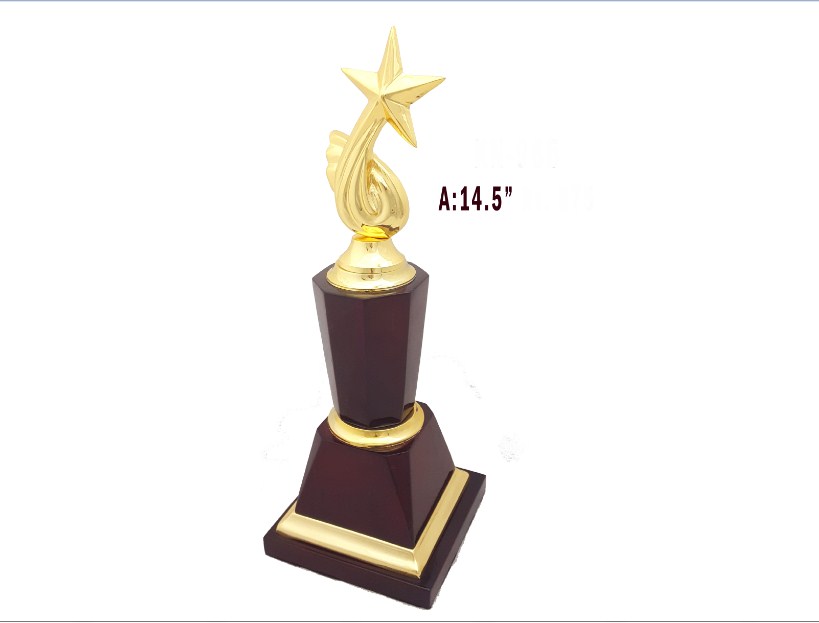 Metal Gold Star with wooden base