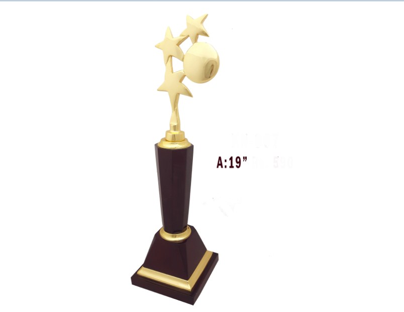 Metal Trophy with metal gold star with wooden pillor with wooden base