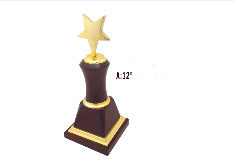 Metal Single Star Trophy with wooden base