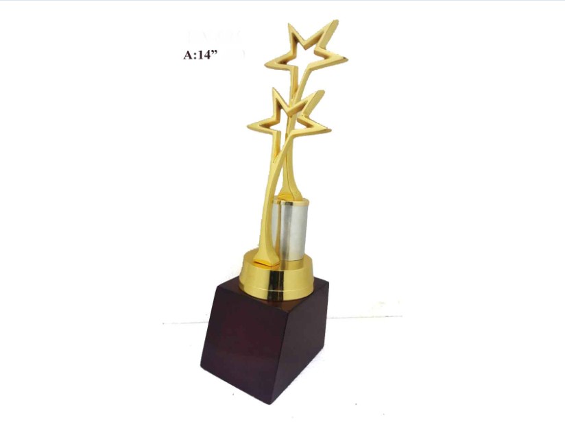 Metal Trophy with Two Metal Star with wooden base