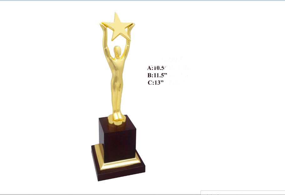Metal Trophy with man handle star shape with wooden base